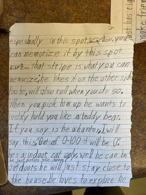 This Letter from a Child Surrendering Their Cat Broke Me Today