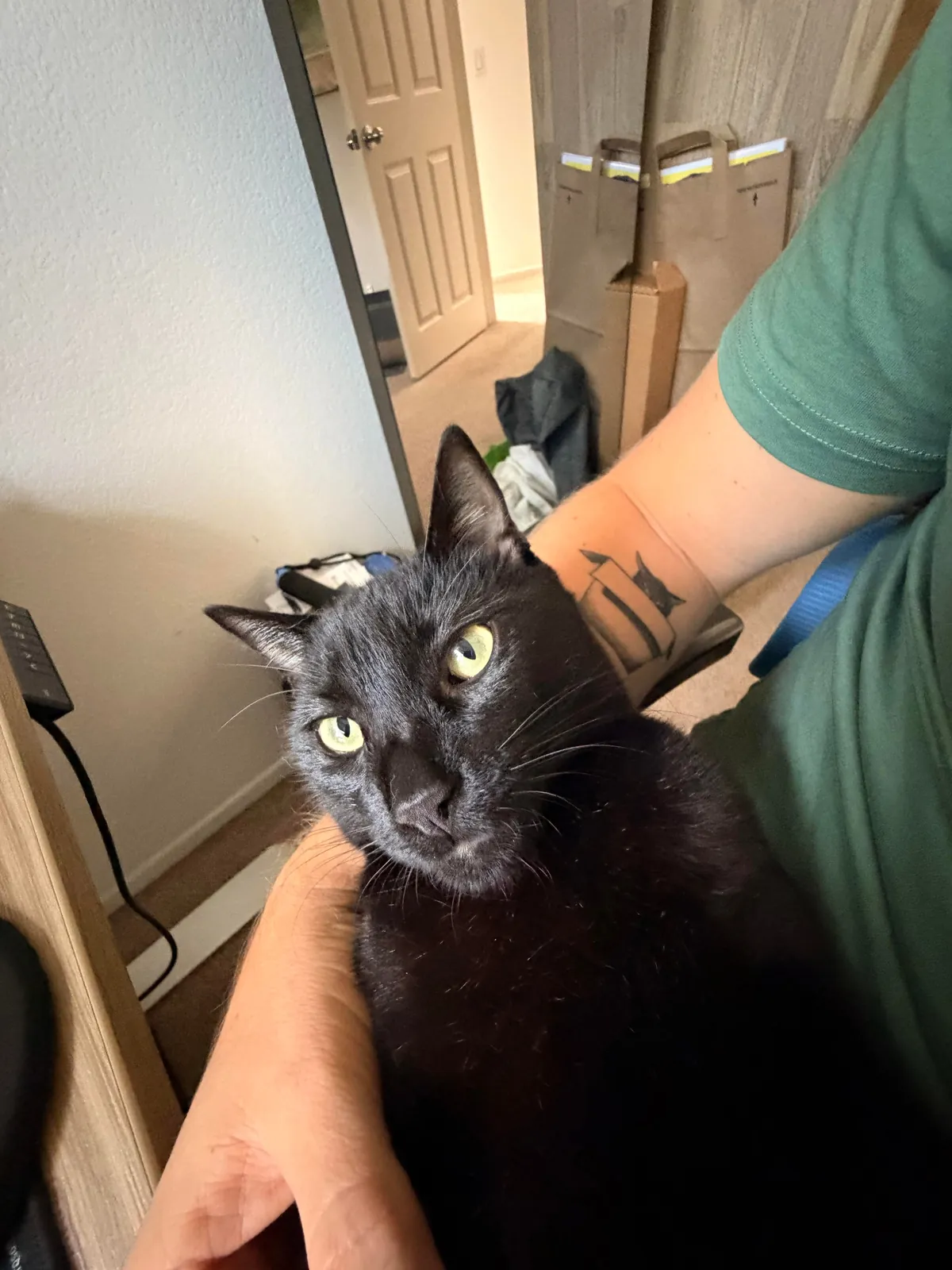 Does anyone else’s void love to be in their back?