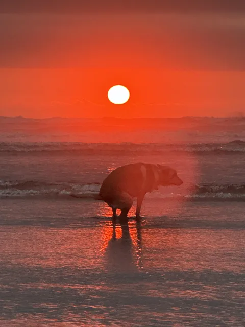 my sweet boy does not miss an opportunity to go