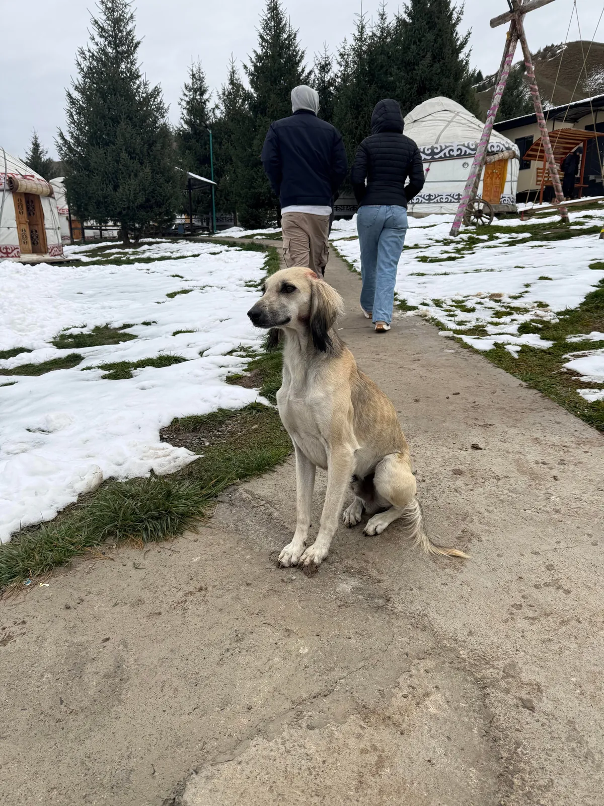 Almaty, Kazakhstan (2025)