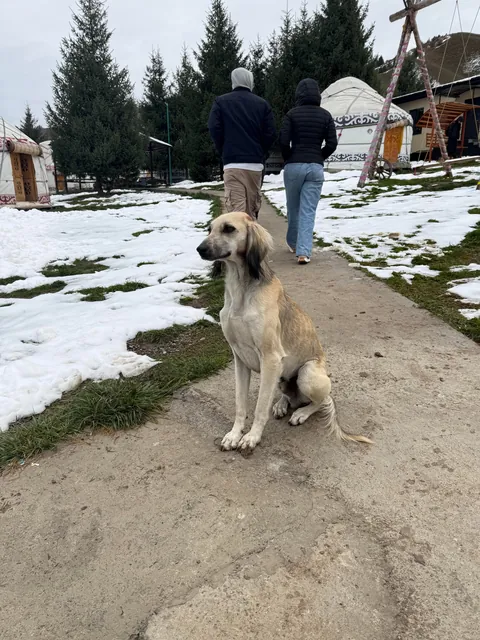 Almaty, Kazakhstan (2025)