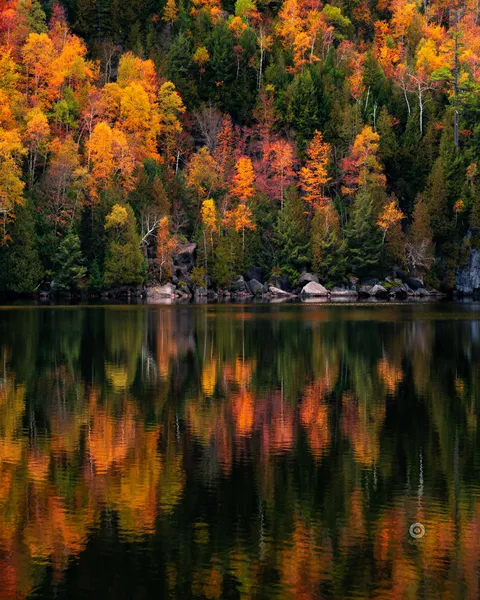 Autumn colors in the Adirondacks region, NY [OC][1600X2000]