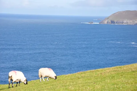 9 days on the west coast of Ireland
