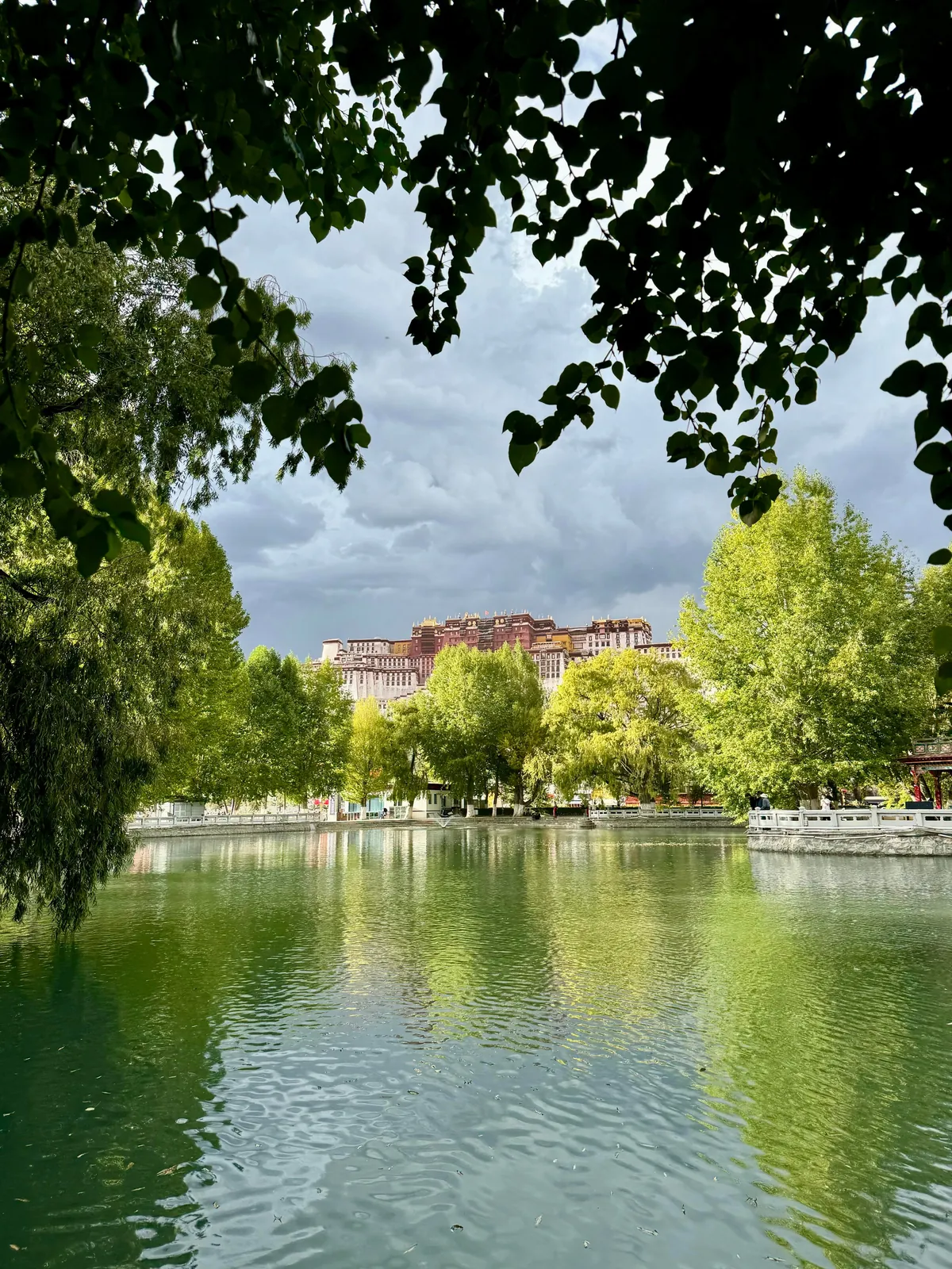 Three weeks in China