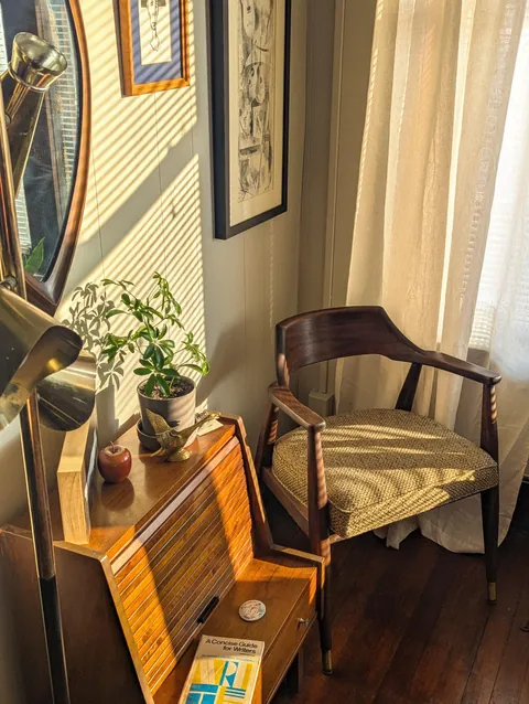 My front room in the morning light