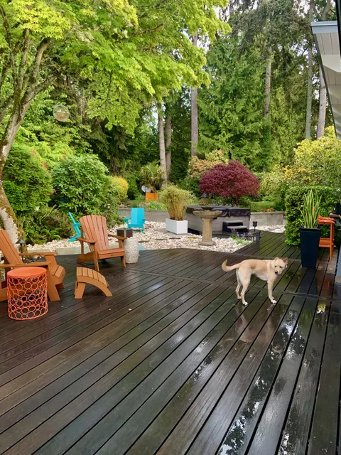 Posted my kitchen the other day. Here’s the view from outside the window