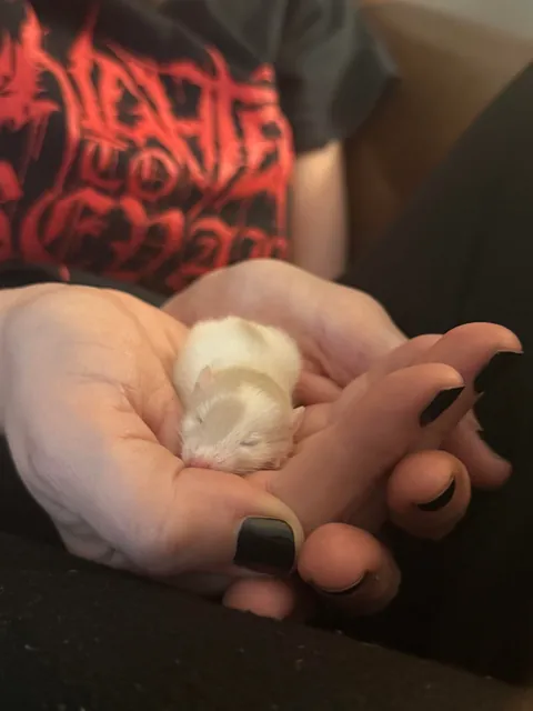 Our new unintentional baby