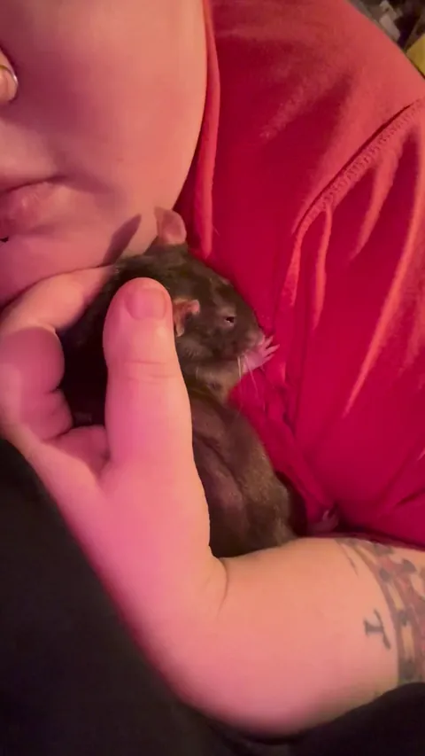 I feel if I don’t give marmite her nap time with me everyday she’d riot