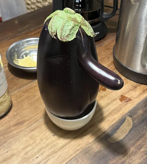 bought an eggplant with a nose today
