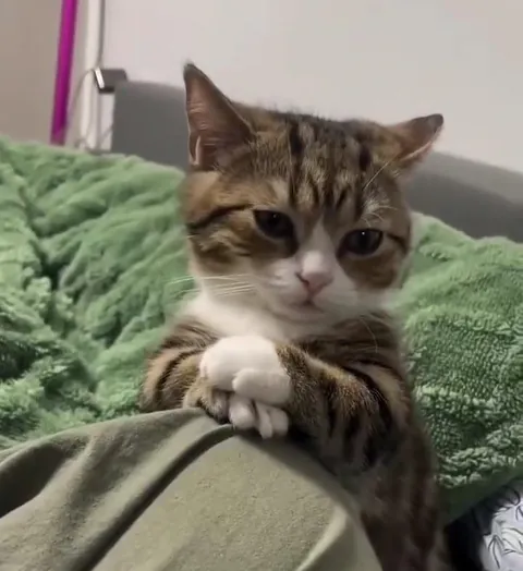 He looks like he's about to say something