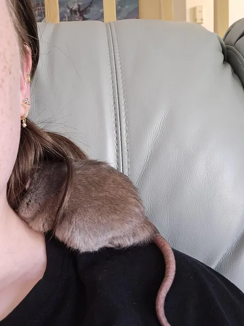 I'm cold and hungry but I refuse to disturb his sleep! (He's been sleeping for 30mins..)