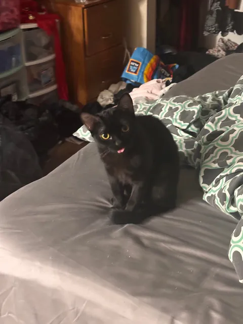 I found Jenny staring into blank space and doing this :P Is she okay?