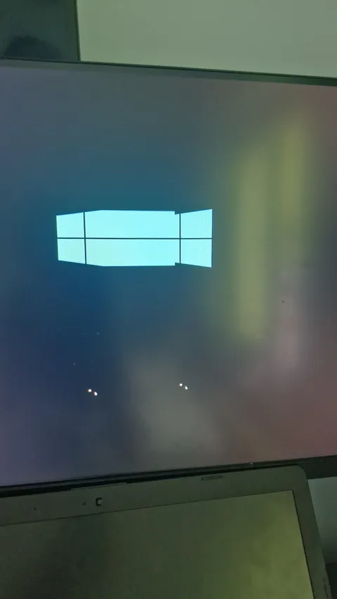 Windows fish edition.