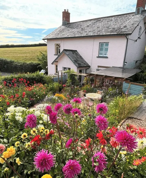 lovely afternoon in my garden