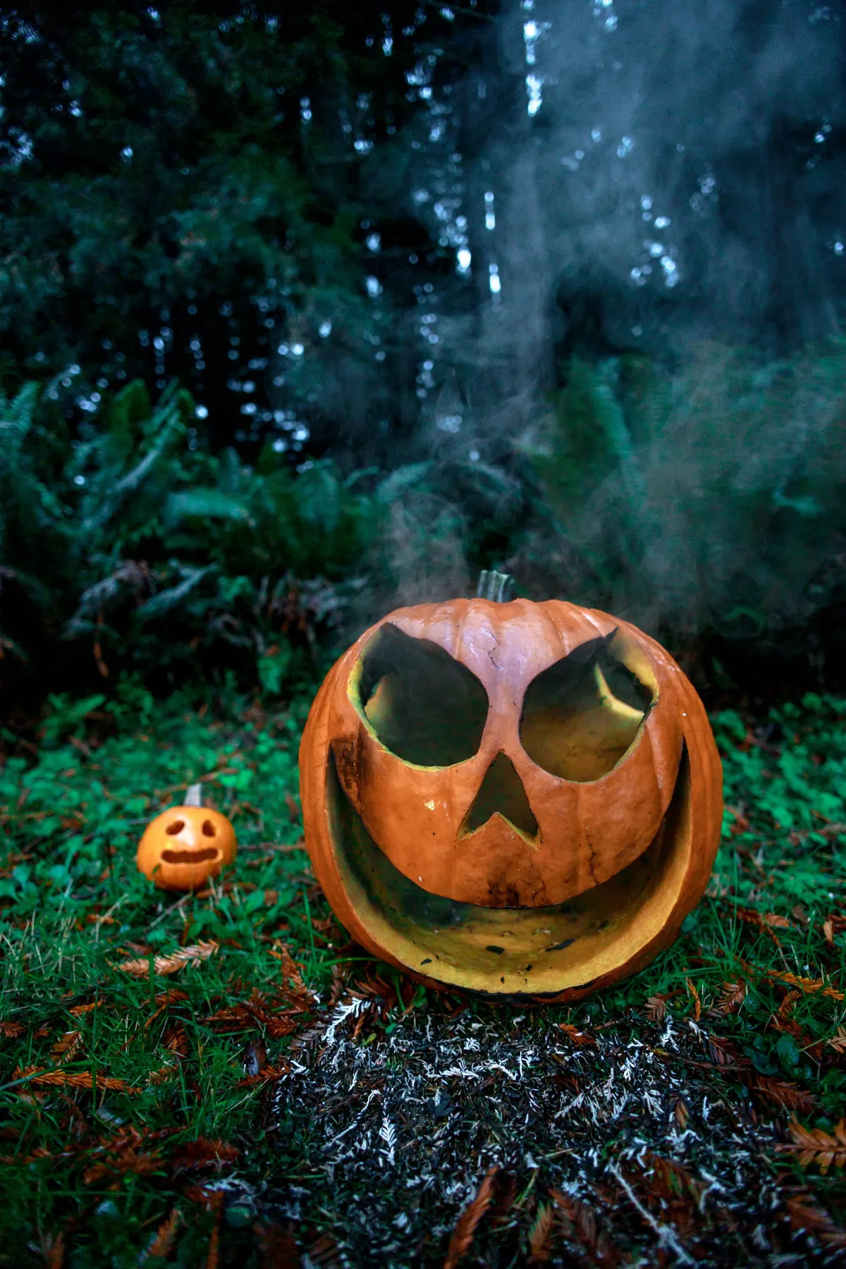 My yearly Halloween tradition: Carve a pumpkin so I can light it on fire for photos. [OC]