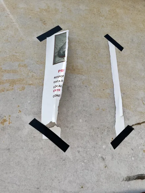 someone has ripped my missing cat poster 3 times in a week