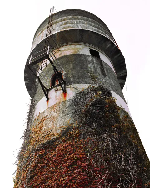 A lonely tower basks in eternal solitude