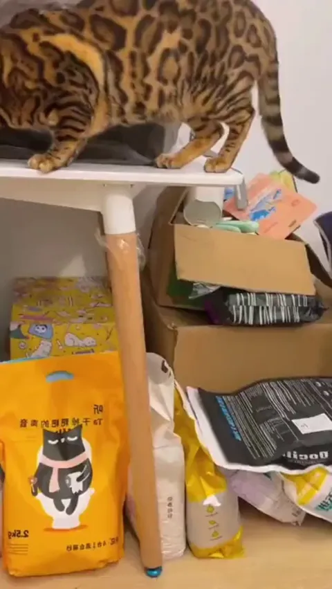 This guy never misses the chance