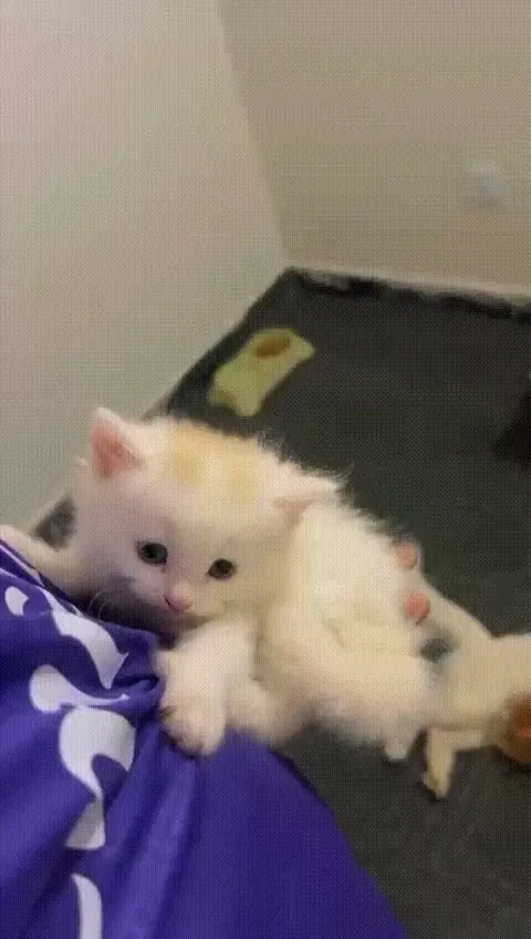 My Swinging Cutieee!!!