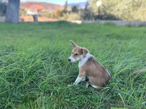 My tiny best friend