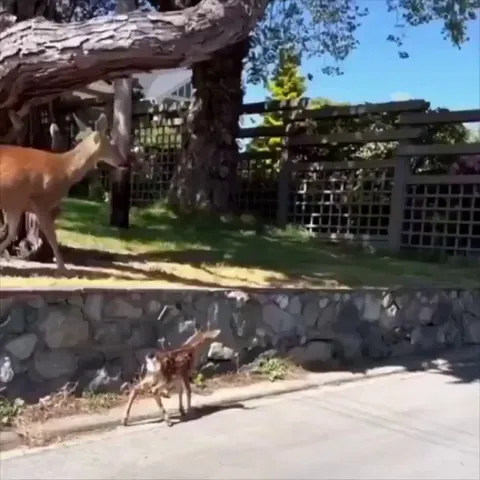 Small act of kindness.. 🙏