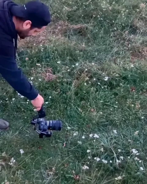 You can look at this endlessly😻