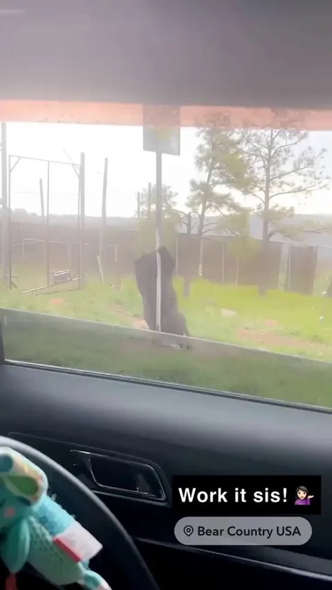 Mama bear gotta feed the cubs one way or another