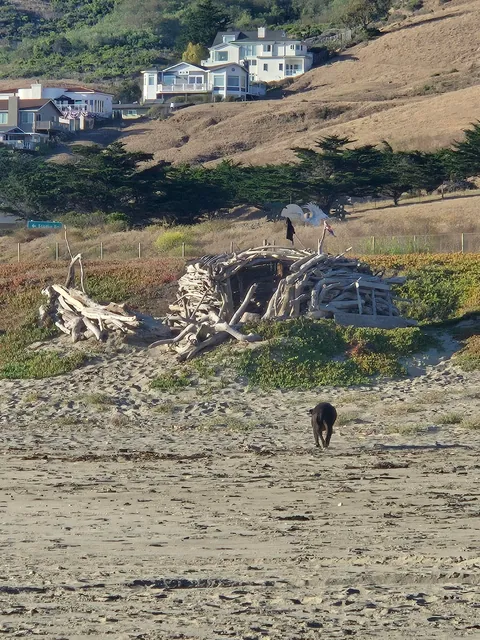 The Crow's Nest, a drift wood fort built by me on a beach in Central California