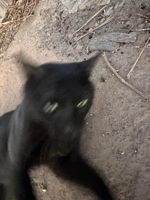 I think I really fucked up :(