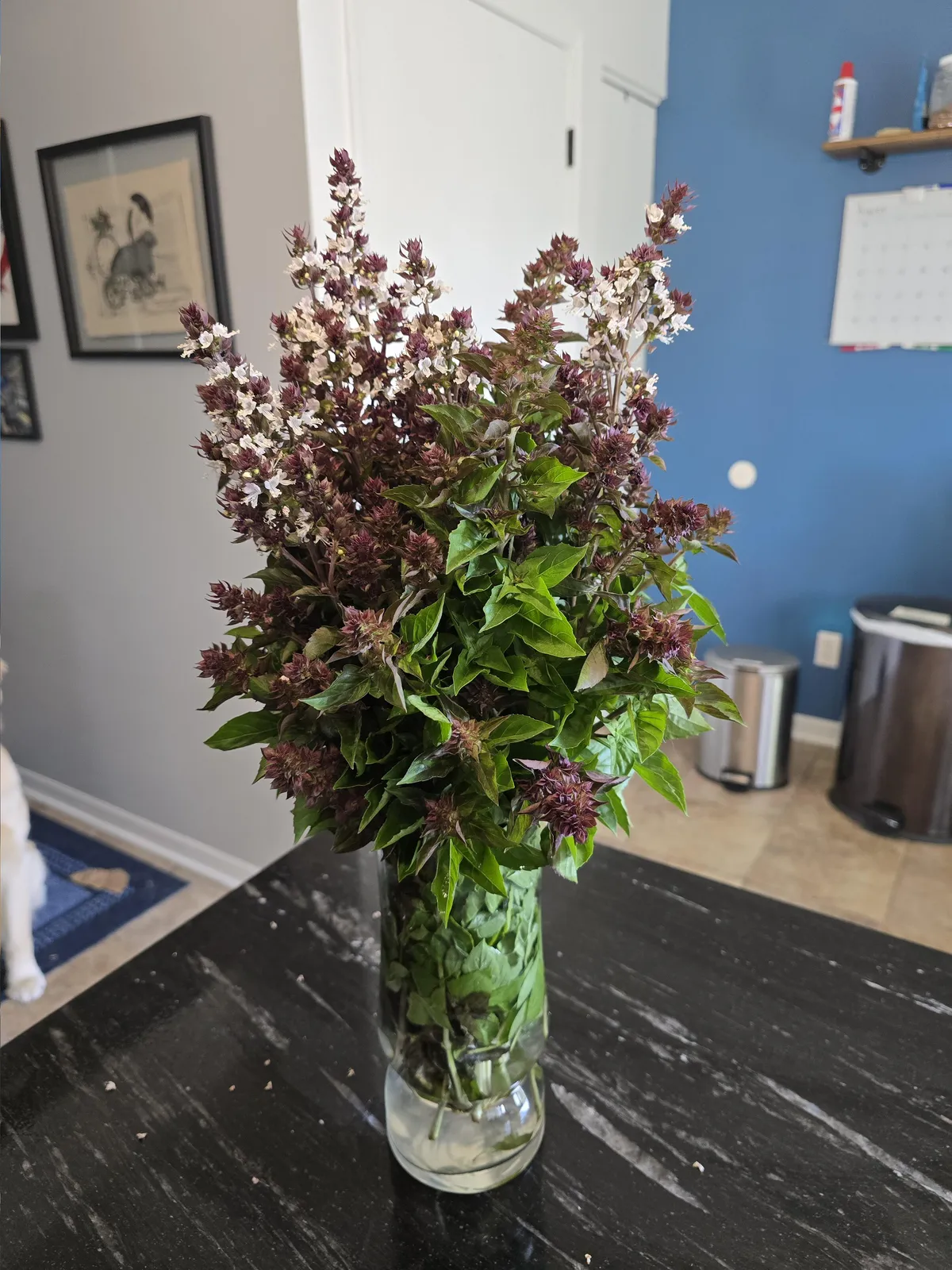 Every year, I make a Thai Basil bouquet for my wife from the garden. It's her favorite herb.