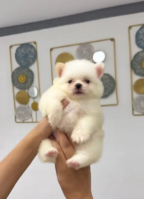 look how fluffy she is🥹