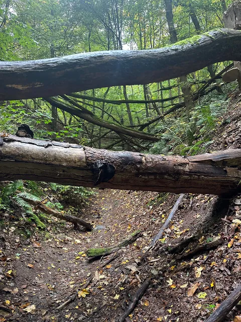 My 2 weeks in Germany, I would move to Berlin tomorrow!