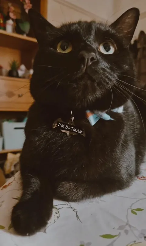 The day I brought him home vs five years later