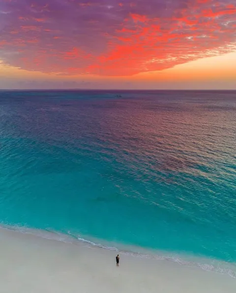 🔥 the cosmic sensation.