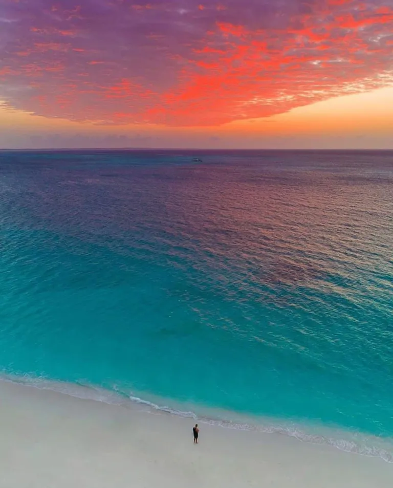 🔥 the cosmic sensation.