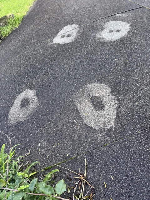 Someone got stuck on our drive a few weeks ago. Now, the patches around where their wheels were don’t get wet despite heavy rain since.