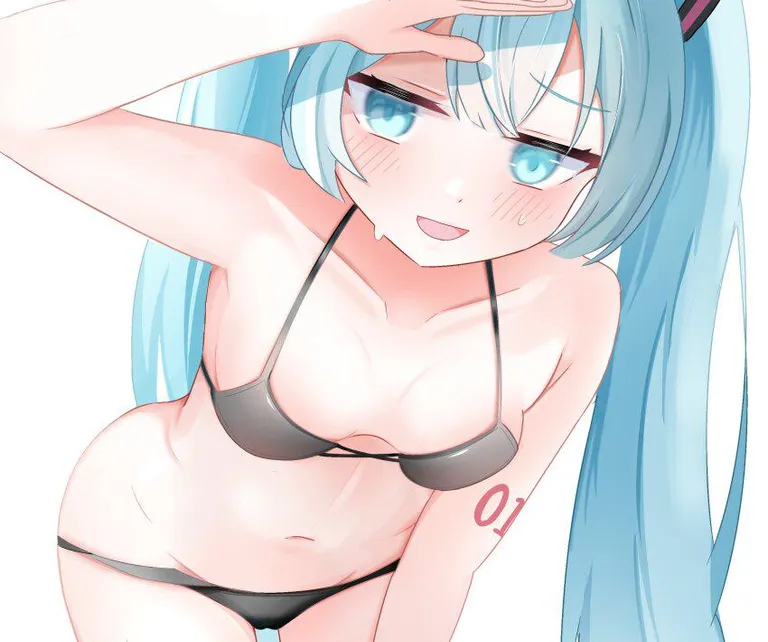 Hatsune Miku. (y vdo) [Vocaloid]