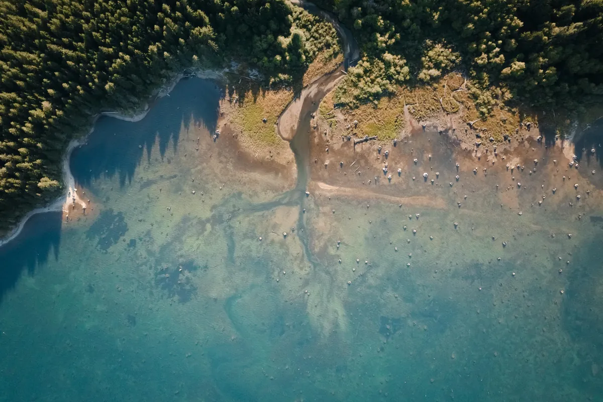 The end of the river, Vancouver Island [OC] [4000x2667]