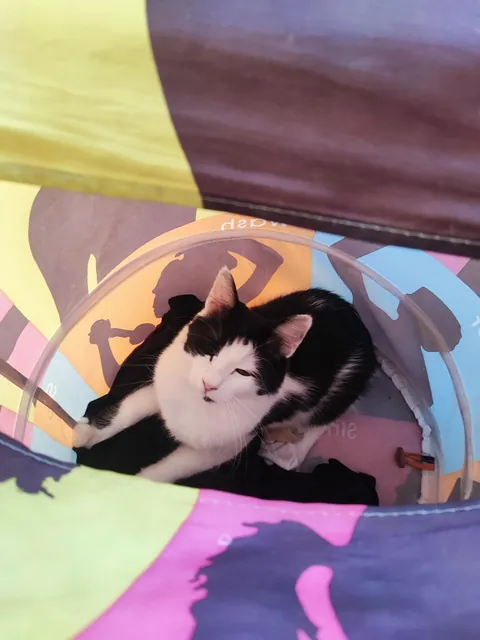 Should I wash her with whites or coloreds?