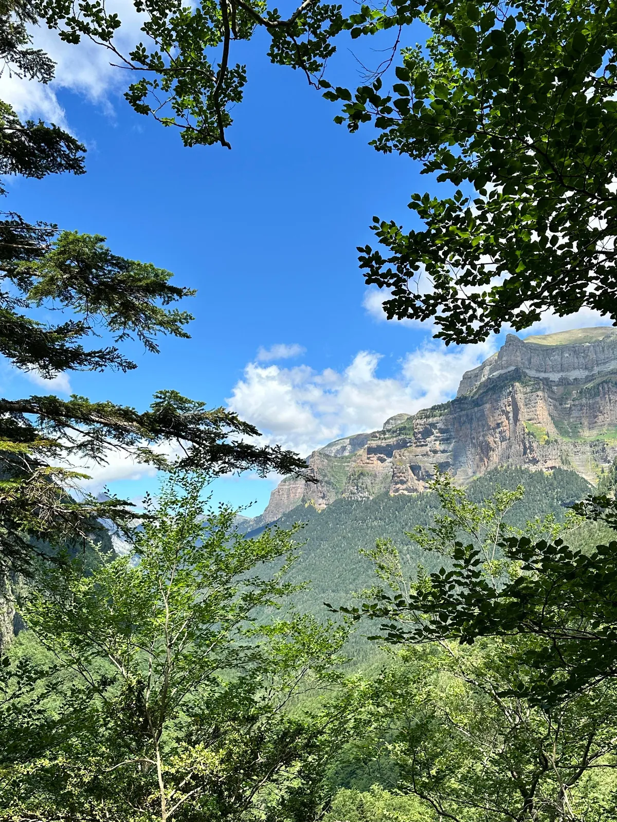 Just Chilling in the Nature (Spain)