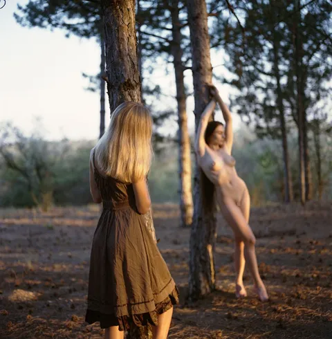 Meeting in the forest