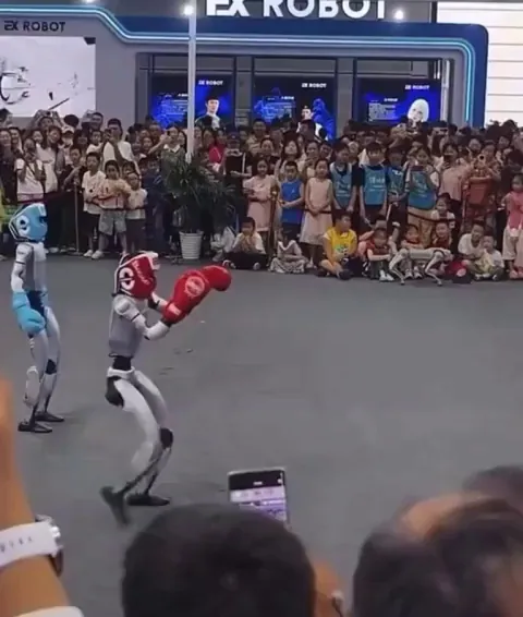 Nice Robot fight !