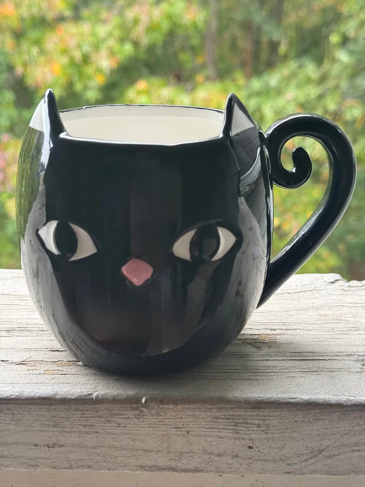 I’ve become black cat obsessed with my little one.