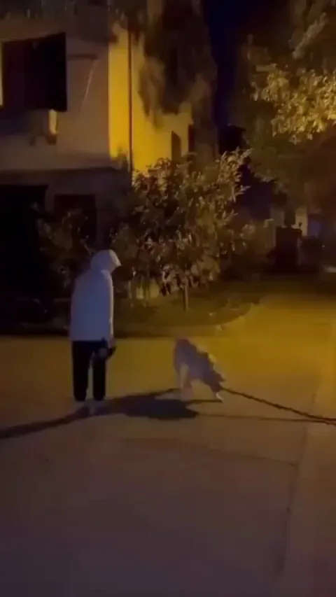 A boy and his dog having fun together