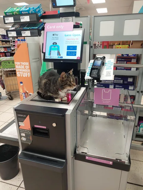 Working hard at the tills