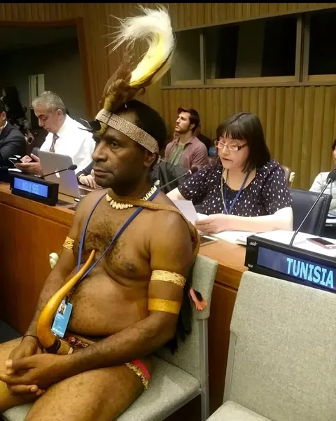 Papua New Guinea delegate in traditional tribal attire in UN, New York, 2017