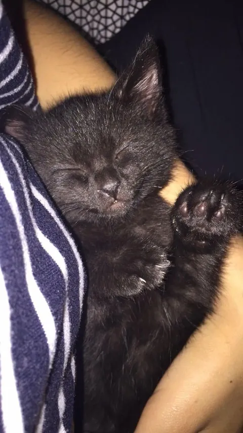 Happy 10th birthday 🖤🐈‍⬛