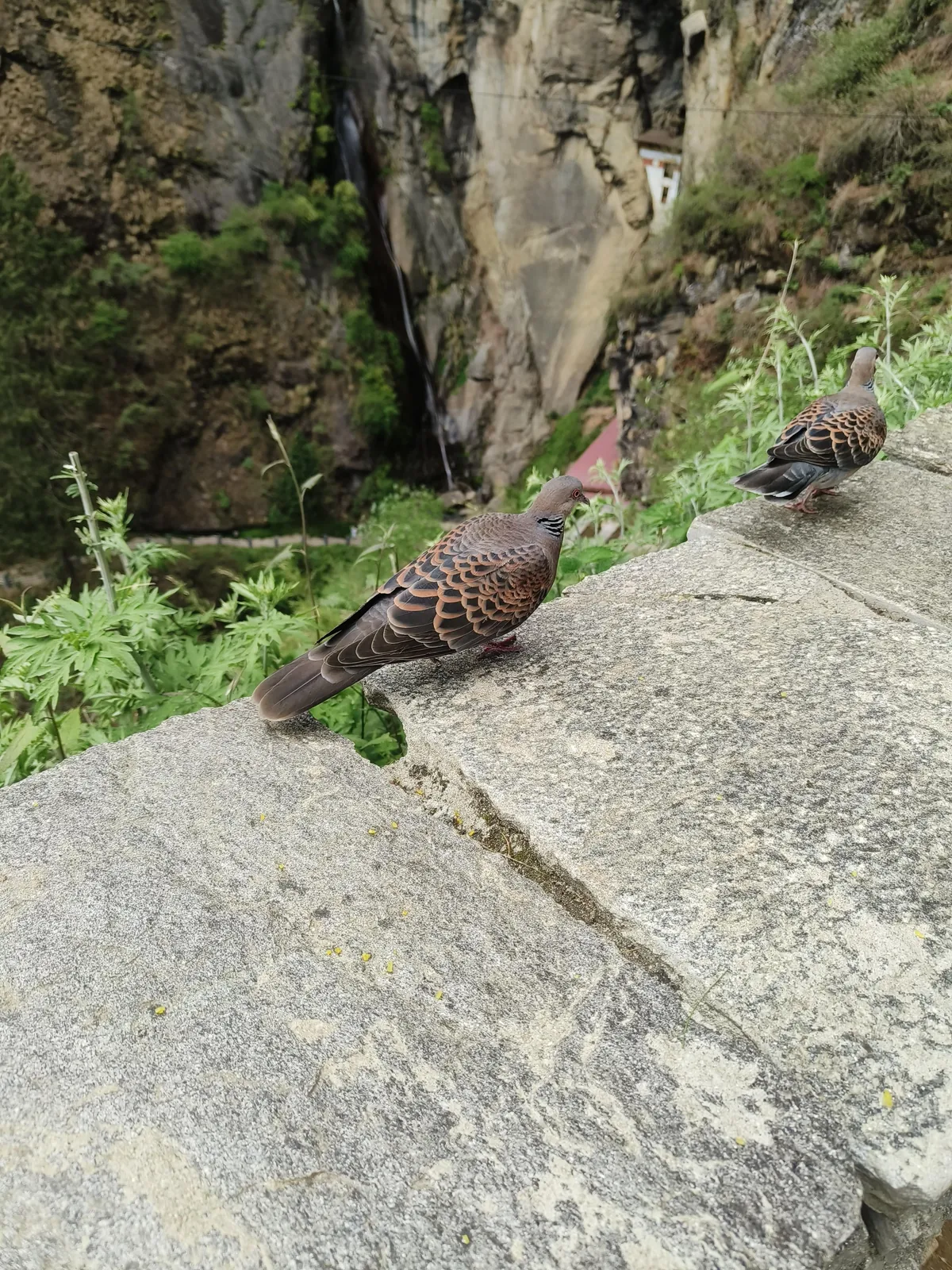 Bhutan, the country that changed my perspective towards life...