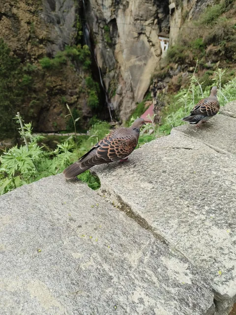 Bhutan, the country that changed my perspective towards life...