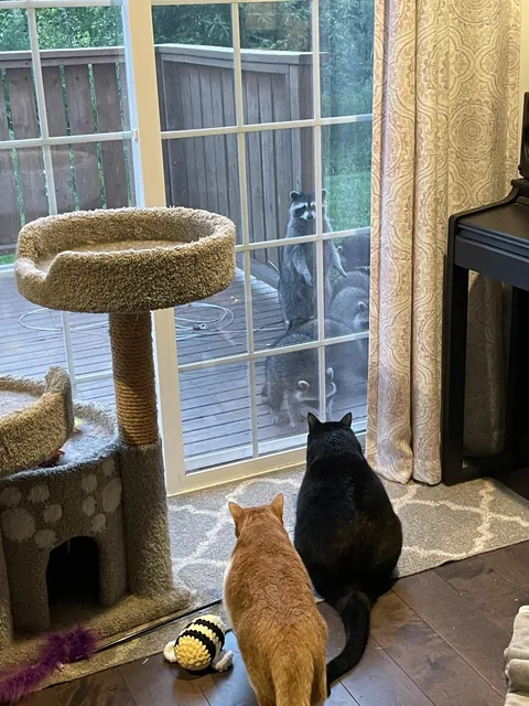 New frens?